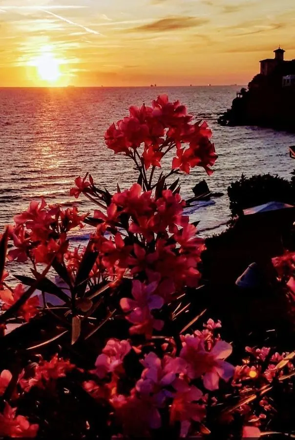 Affittacamere Hotel Il Giardino Quercianella